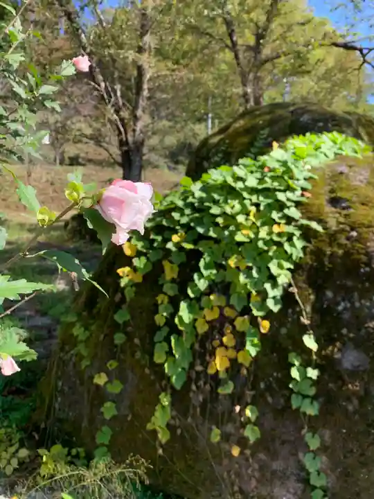 春日神社の自然