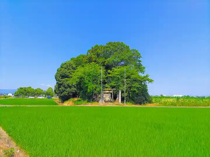 富士社(込野富士社)のその他建物