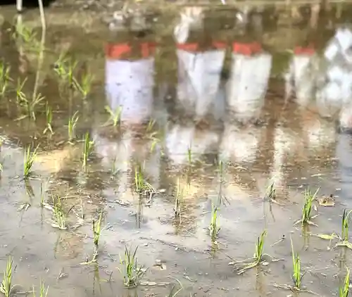 山家神社のお祭り