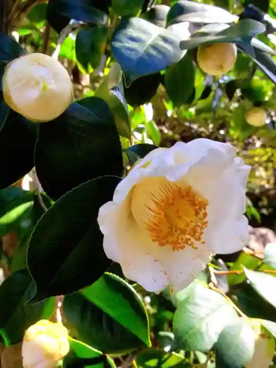 常性寺(東京都)