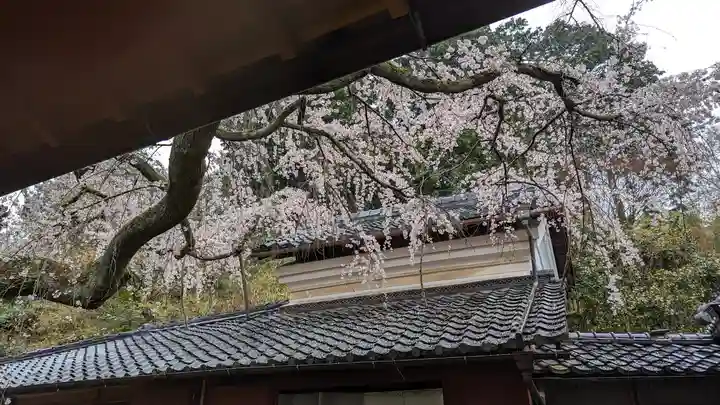 十輪寺(京都府)