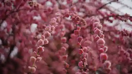 城南宮(京都府)