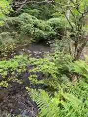 日吉大社の周辺