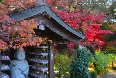 本土寺(千葉県)