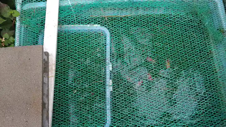 西法寺(大阪府)