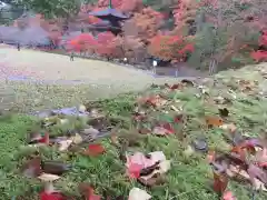 金剛院(京都府)