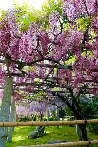 三大神社(滋賀県)