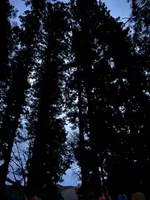 大宮温泉神社(栃木県)