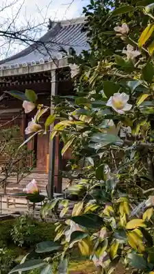 法金剛院(京都府)