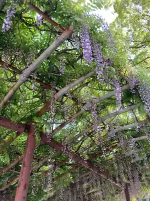 早吸日女神社(大分県)