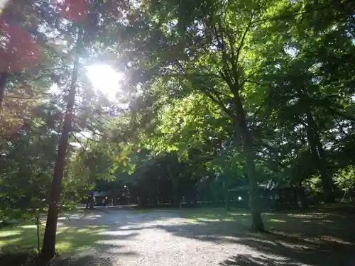 帯廣神社の自然