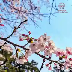 立志神社(滋賀県)