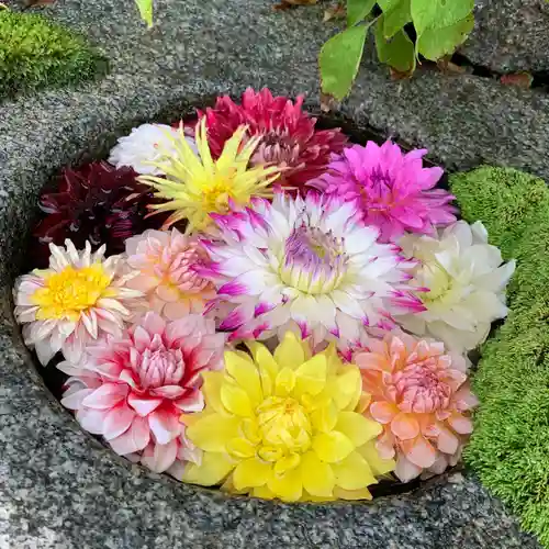 岡寺（龍蓋寺）の手水舎