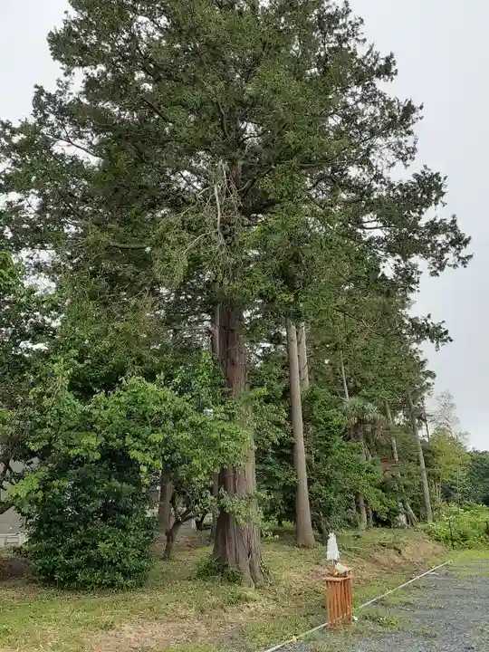 酒門神社の自然