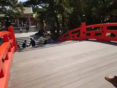 住吉大社(大阪府)