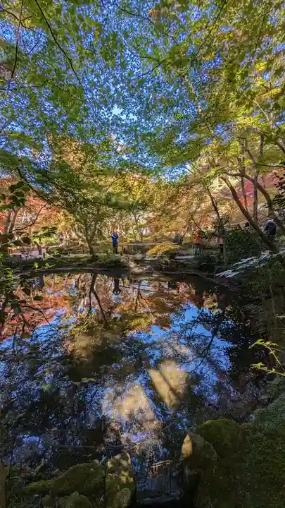 圓光寺(京都府)