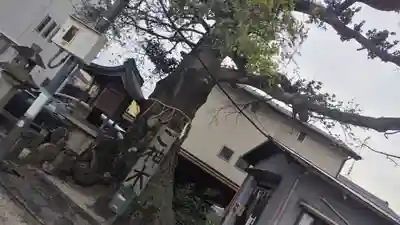 櫟谷七野神社(京都府)