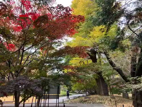 淨眞寺(東京都)