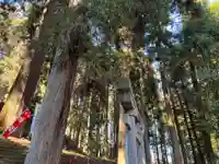 大宮温泉神社(栃木県)