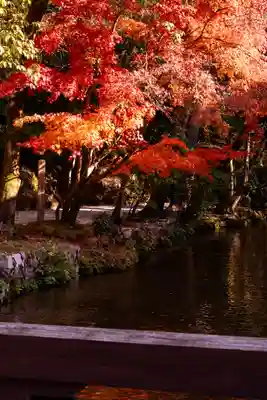 賀茂別雷神社（上賀茂神社）(京都府)
