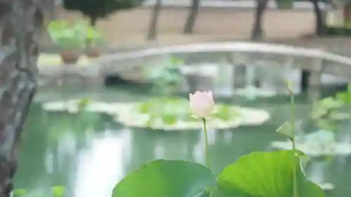 相国寺（相国承天禅寺）(京都府)