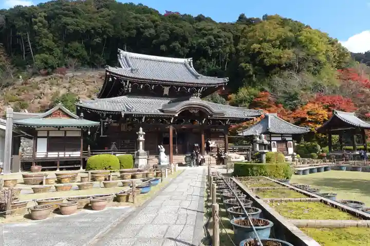 三室戸寺(京都府)