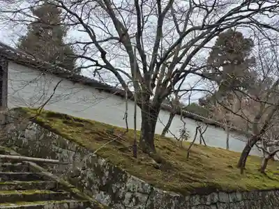 曼殊院門跡(京都府)