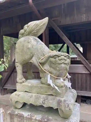 備後天満神社の狛犬