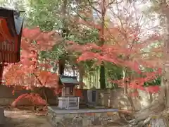 多田神社(兵庫県)