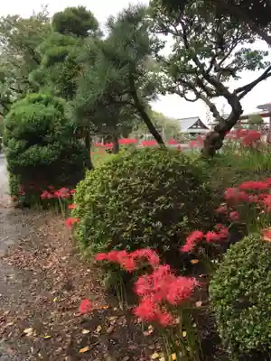 妙純寺のその他建物