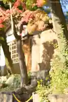 深大寺の本殿・本堂