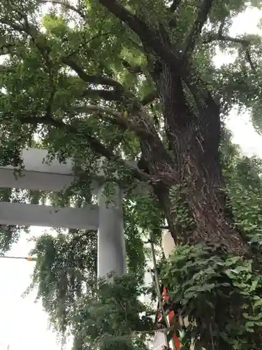 波除神社（波除稲荷神社）の自然