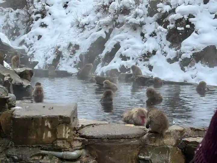 上林不動尊の{uncategorized: "未分類", other: "その他", undefined: "問題あり", building: "その他建物", grave: "お墓", sacred_gate: "鳥居", guardian: "狛犬", statue: "像", buddha: "仏像", history: "歴史", nature: "自然", garden: "庭園", animal: "動物", pagoda: "塔", temizu: "手水舎", mountain_gate: "山門・神門", sanctuary: "本殿・本堂", subordinate: "末社・摂社", art: "芸術", scenery: "景色", jizo: "地蔵", ema: "絵馬", goshuin: "御朱印", omikuji: "おみくじ", items: "授与品その他", amulet: "お守り", goshuincho: "御朱印帳", eats: "食事", festival: "お祭り", votive_dance: "神楽", shichigosan: "七五三参", wedding: "結婚式", experience: "体験その他", initially: "初詣", around: "周辺", anti_infection: "感染症対策"}