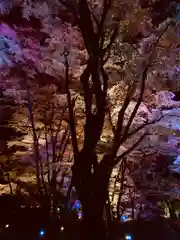 土津神社｜こどもと出世の神さまの御朱印