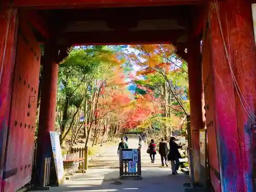 醍醐寺の山門・神門