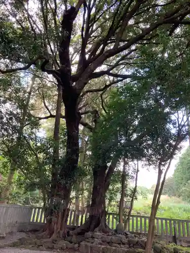 山宮浅間神社(静岡県)