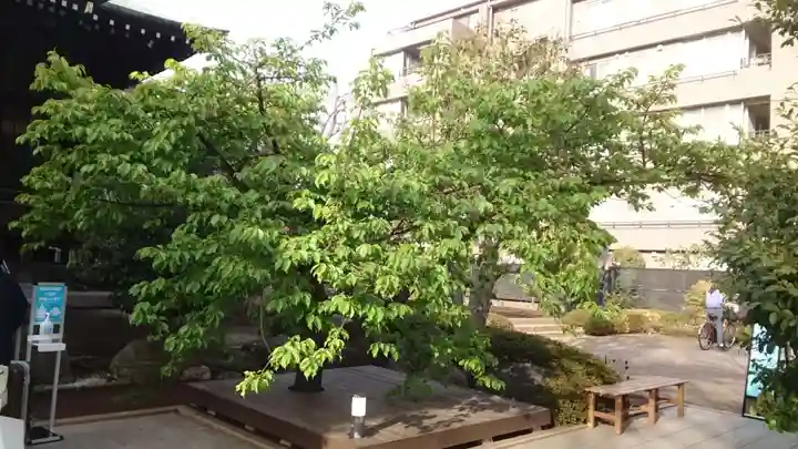 桜神宮(東京都)