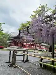 平等院(京都府)