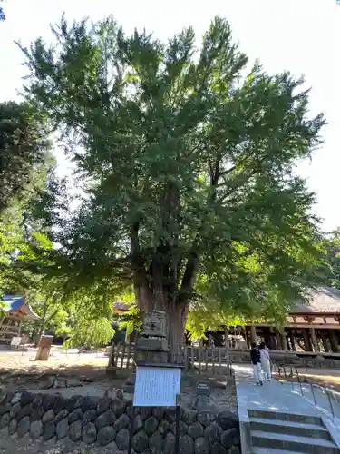 新宮熊野神社(福島県)