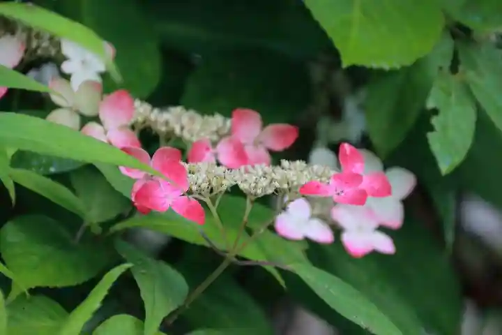 三春駒神社の庭園