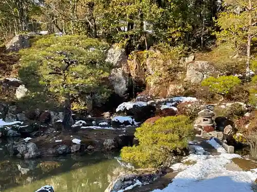 仁和寺の庭園