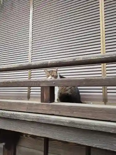 荻窪白山神社(東京都)