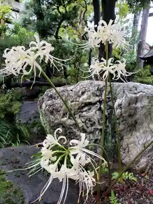 世尊院(東京都)