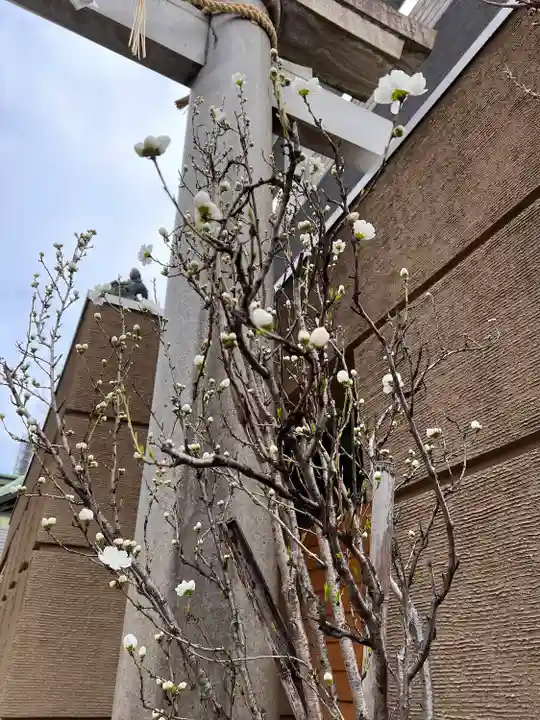 小野照崎神社の自然