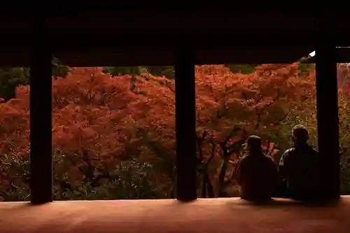 高山寺(京都府)