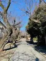 法明寺の{uncategorized: "未分類", other: "その他", undefined: "問題あり", building: "その他建物", grave: "お墓", sacred_gate: "鳥居", guardian: "狛犬", statue: "像", buddha: "仏像", history: "歴史", nature: "自然", garden: "庭園", animal: "動物", pagoda: "塔", temizu: "手水舎", mountain_gate: "山門・神門", sanctuary: "本殿・本堂", subordinate: "末社・摂社", art: "芸術", scenery: "景色", jizo: "地蔵", ema: "絵馬", goshuin: "御朱印", omikuji: "おみくじ", items: "授与品その他", amulet: "お守り", goshuincho: "御朱印帳", eats: "食事", festival: "お祭り", votive_dance: "神楽", shichigosan: "七五三参", wedding: "結婚式", experience: "体験その他", initially: "初詣", around: "周辺", anti_infection: "感染症対策"}