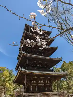仁和寺のその他建物
