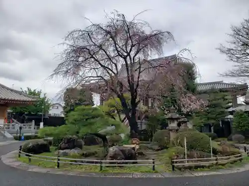 最勝寺(東京都)