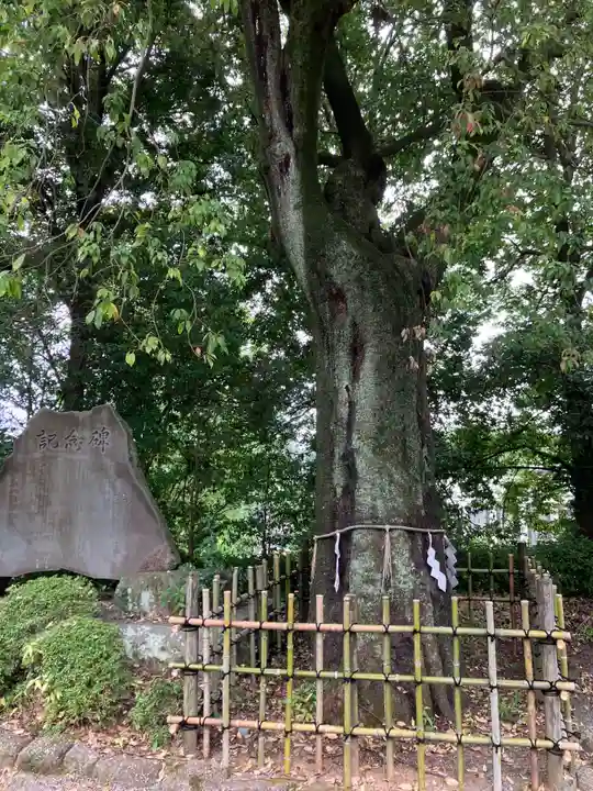 落合白山神社(東京都)