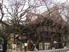 牛天神北野神社(東京都)